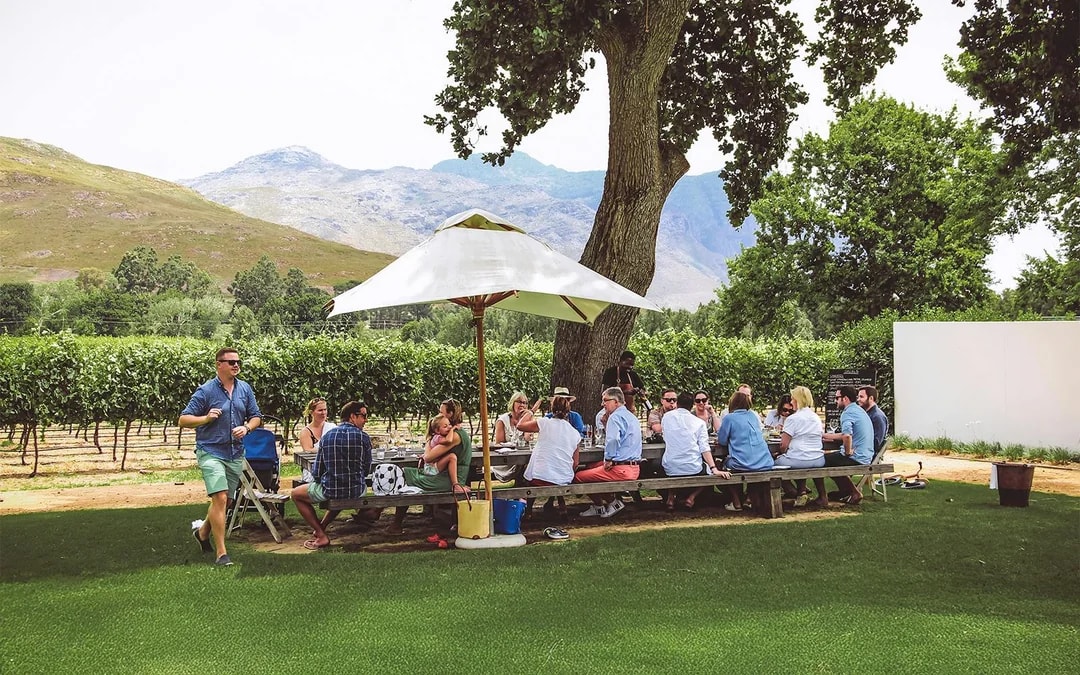 Franschhoek Hop-On-Hop-Off Wine Tram Tour  Image 3