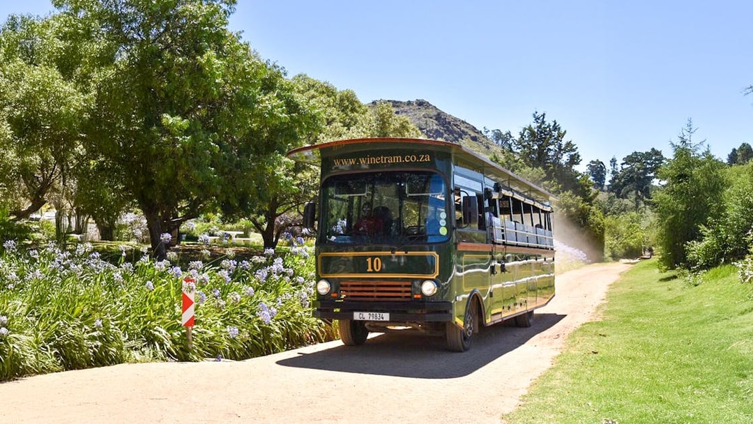 Tram bus on Franschhoek Wine Tram Xplorer Tour, Cape Town, surrounded by greenery.