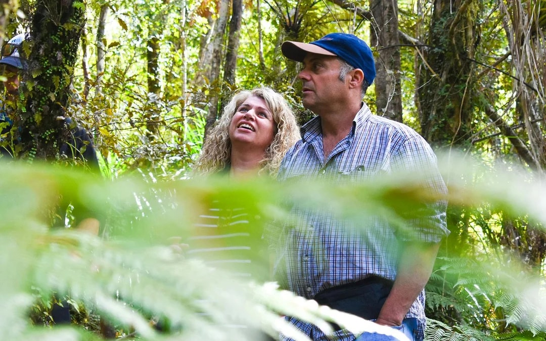Franz Josef Scenic Cruise & Guided Rainforest Walk  Image 8