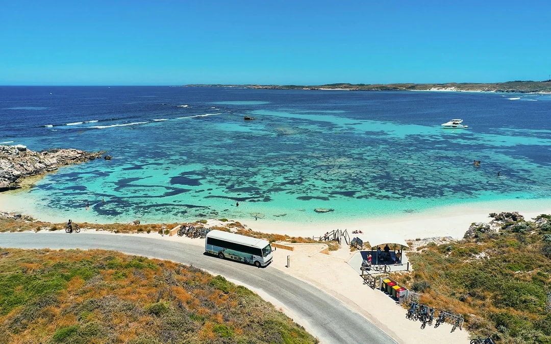 From Fremantle: Rottnest Island Grand Tour with Ferry & Lunch Image 5