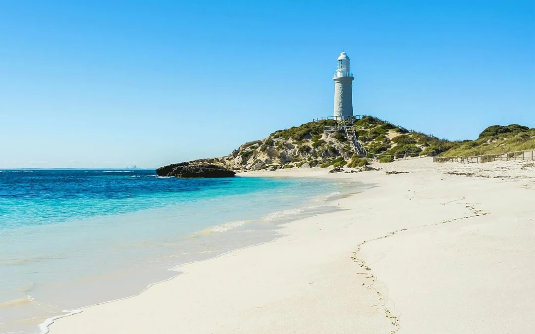 From Fremantle: Rottnest Island Grand Tour with Ferry & Lunch Image 8