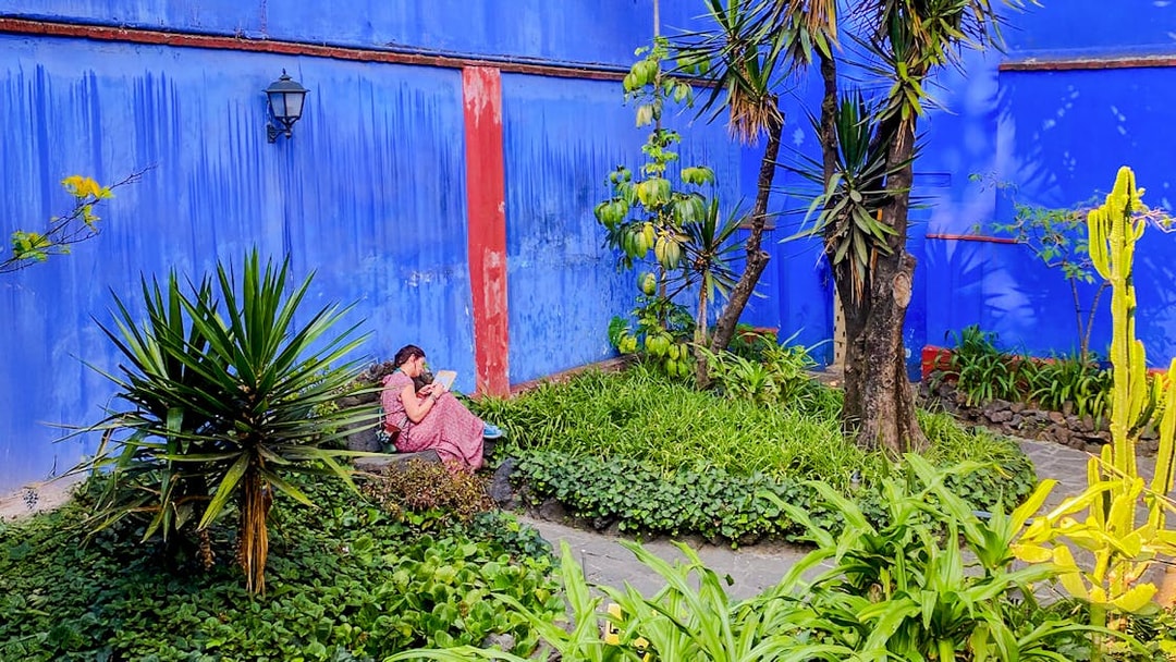 Frida Kahlo Museum garden with blue walls and lush greenery.