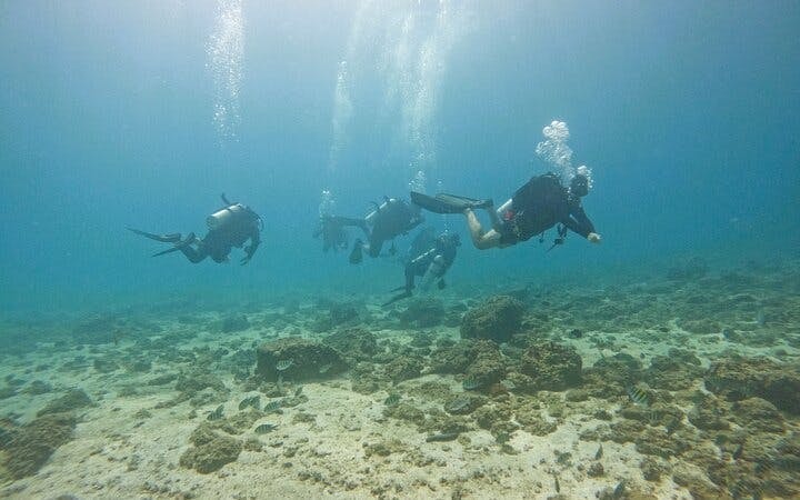 From Abu Dhabi: Fujairah Certified Diver Day Trip with 2 Guided Boat Dives, Equipment and Transfers Image 2
