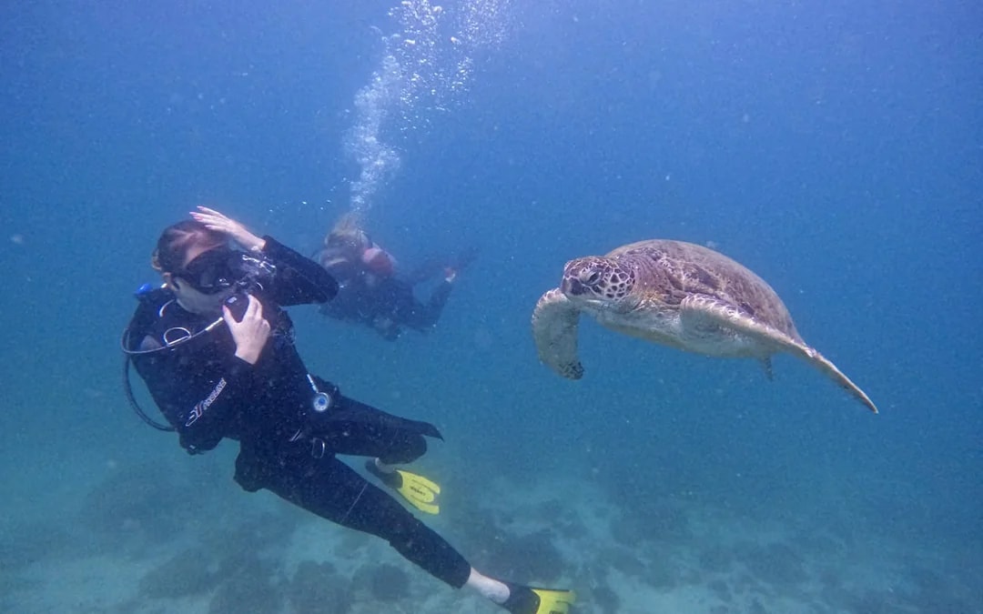 From Abu Dhabi: Fujairah Scuba Diving and Snorkeling Day Trip Image 4