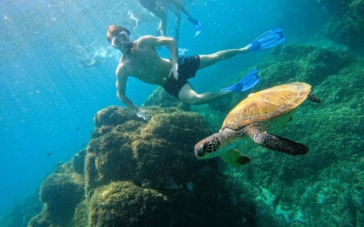 From Abu Dhabi: Fujairah Snorkeling Day Trip with  Transfer Image 3