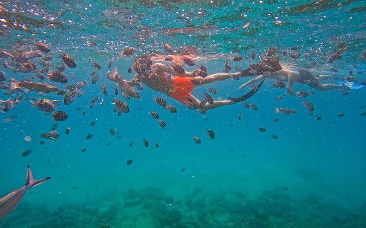 From Abu Dhabi: Fujairah Snorkeling Day Trip with  Transfer Image 9