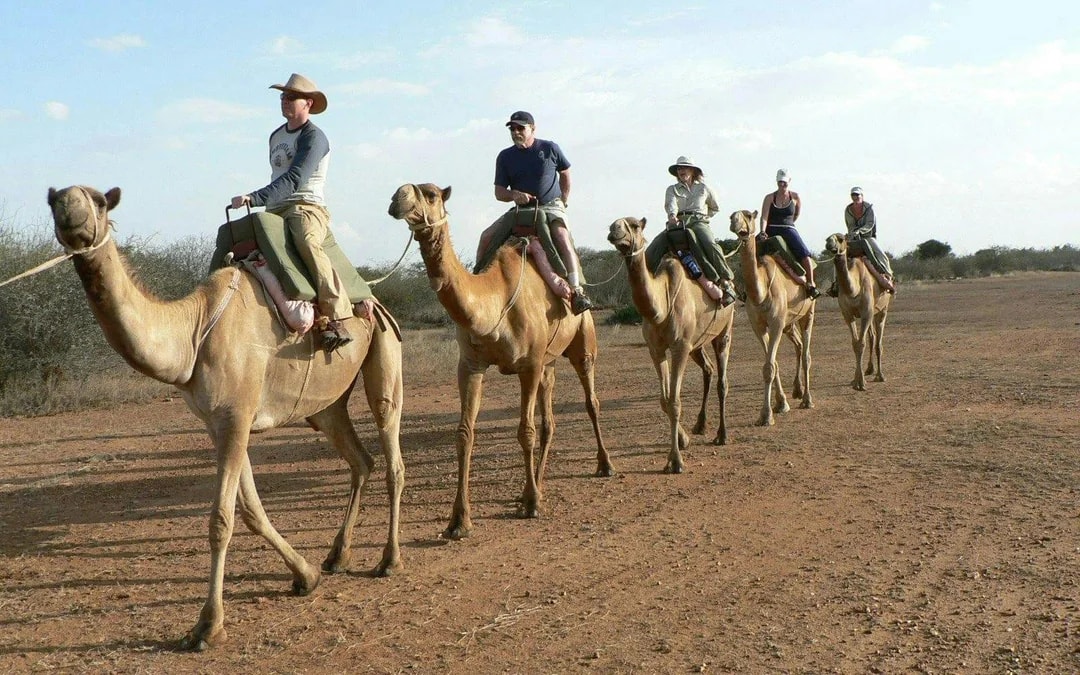  From Agadir: Camel Ride & Flamingo River Trek  Image 3