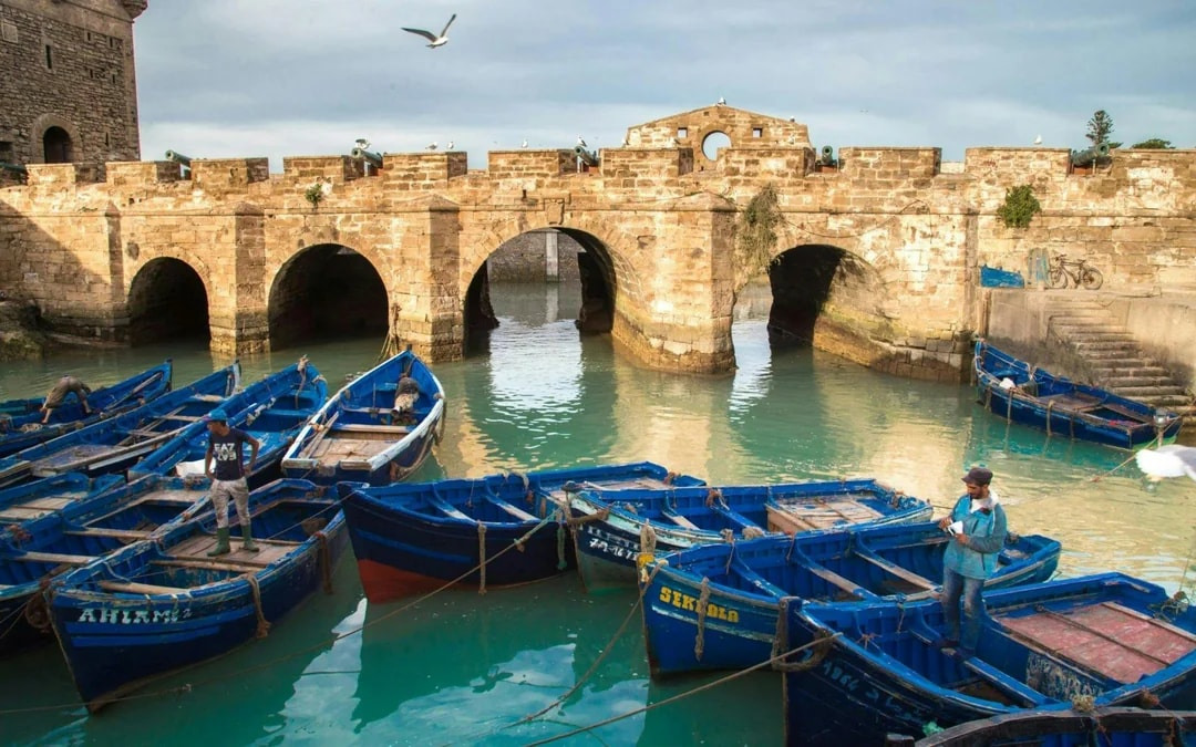 From Agadir: Essaouira Full-Day Guided Day Trip Image 5