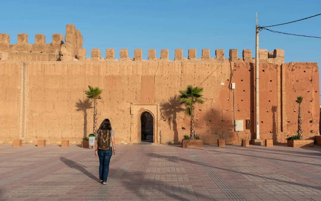 From Agadir: Taroudant & Tiout Oasis Full-Day Guided Tour with Lunch Image 7
