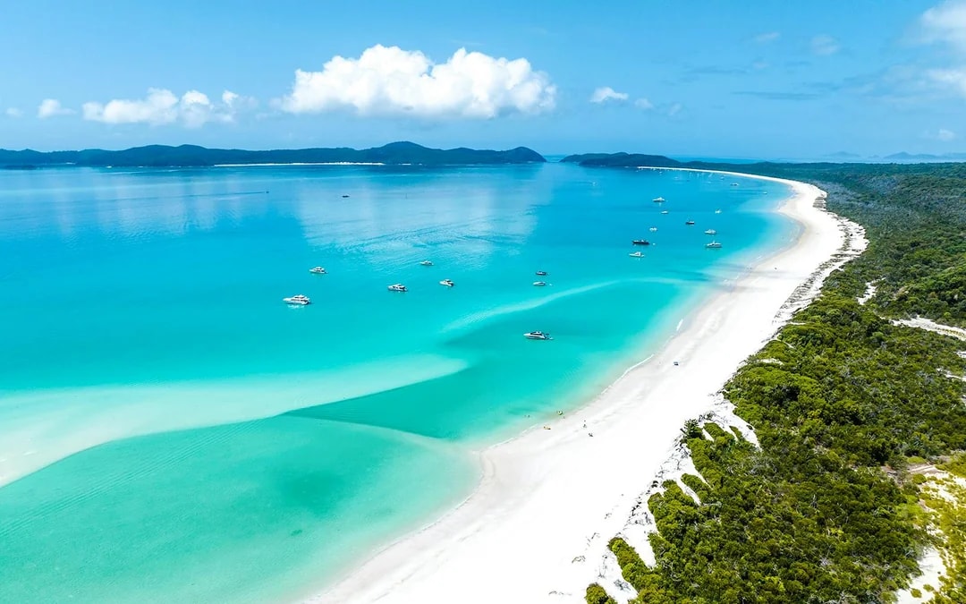 From Airlie Beach: Whitsunday Islands & Heart Reef 60-Minute Scenic Flight Image 5