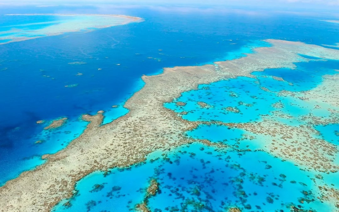 From Airlie Beach: Whitsunday Islands & Heart Reef 60-Minute Scenic Flight Image 7