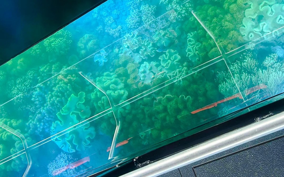 From Airlie Beach: Whitsundays Glass-Bottom Boat Tour Image 7