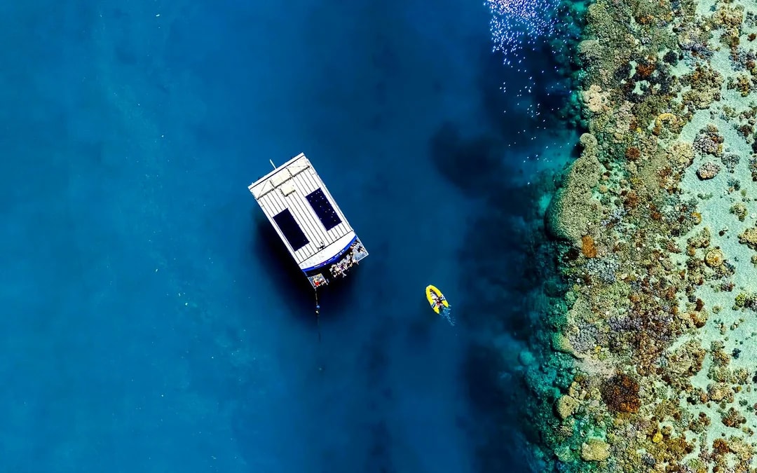 From Airlie Beach: Whitsundays Glass-Bottom Boat Tour Image 9