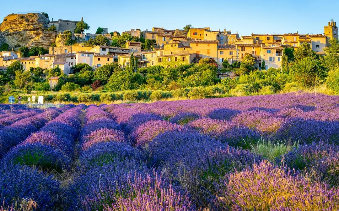 From Aix-En-Provence: Lavender Fields Full-Day Guided Tour Image 7