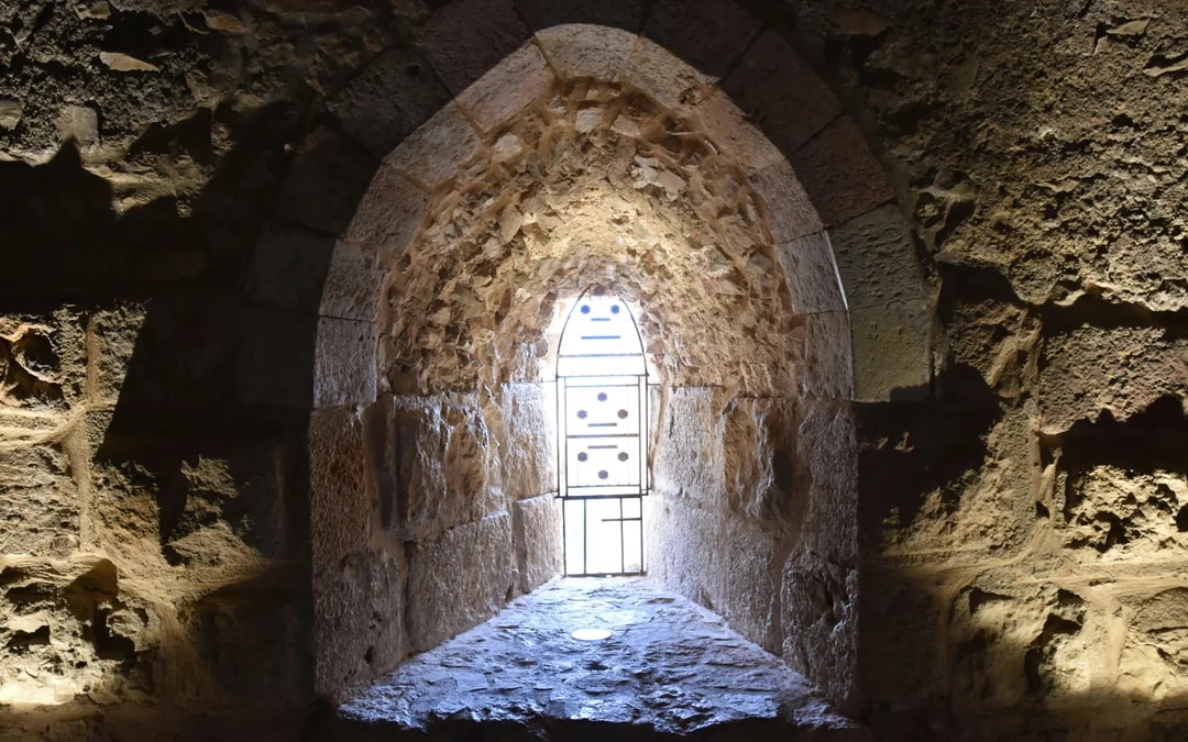 From Amman: Full Day Tour to Jerash, Ajloun and Umm Qais Image 9