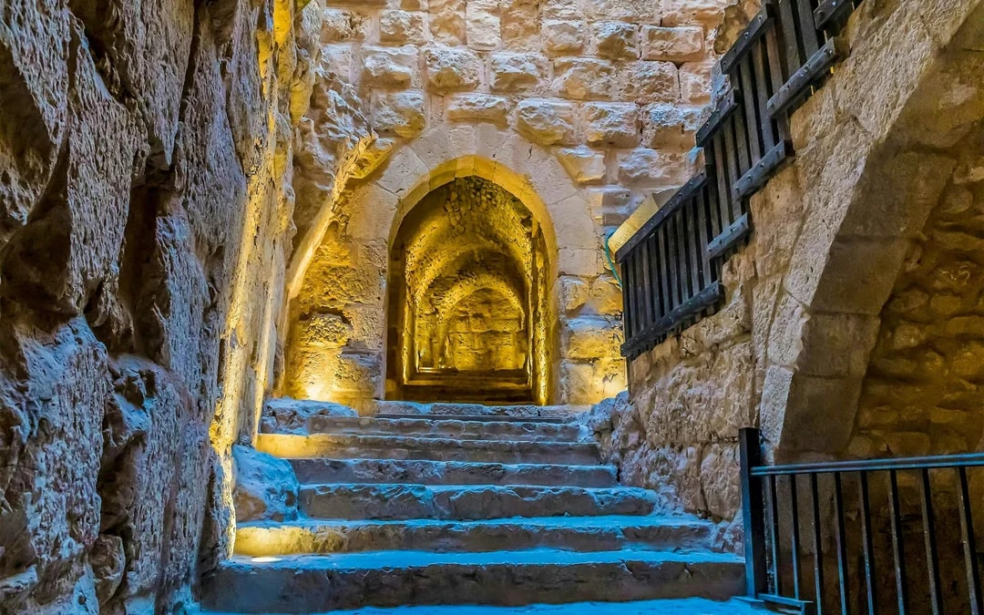 From Amman: Private Car Hire to Jerash, Ajloun Castle, and Umm Qais Image 4