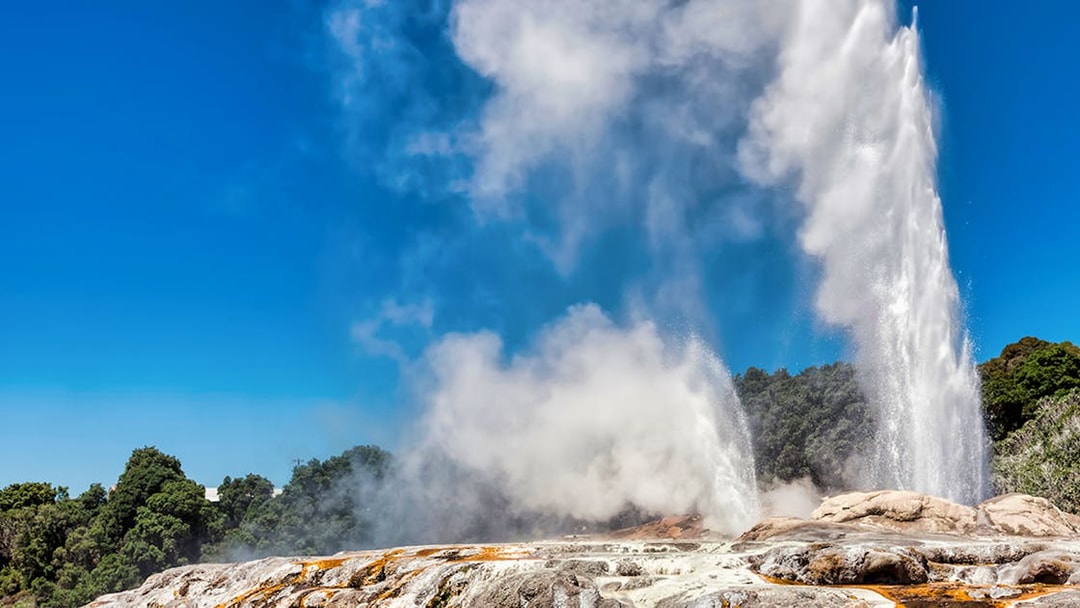 Geyser erupting at Te Puia geothermal park, part of Rotorua tour.