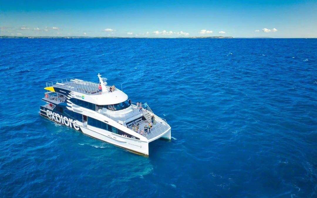 From Auckland: Tikapa Moana Whales, Dolphins & Islands Cruise Image 1
