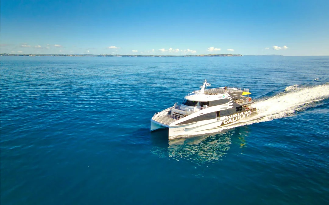 From Auckland: Tikapa Moana Whales, Dolphins & Islands Cruise Image 6