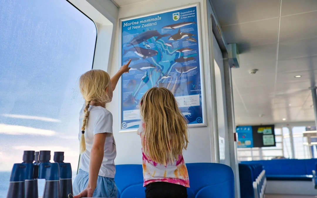 From Auckland: Tikapa Moana Whales, Dolphins & Islands Cruise Image 9