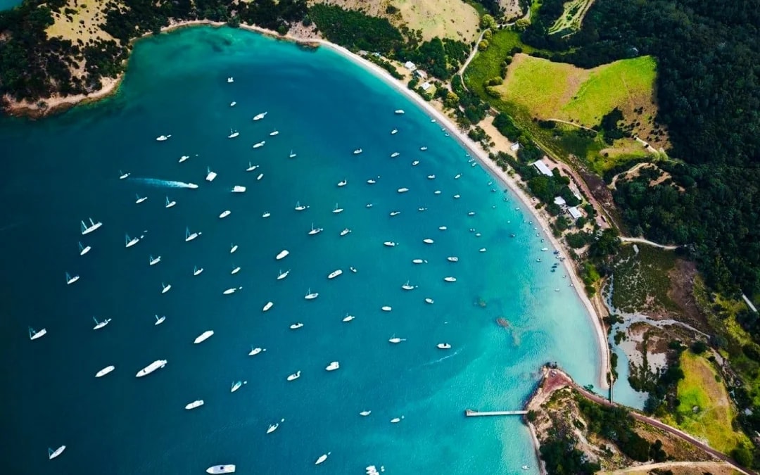 From Auckland: Tikapa Moana Whales, Dolphins & Islands Cruise Image 10
