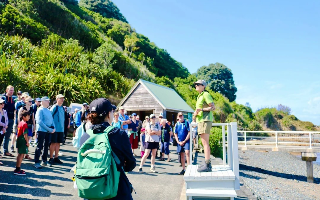 From Auckland: Tiritiri Matangi Island Day Trip with Return Ferry Image 2