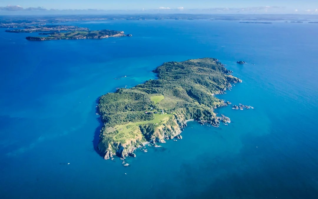 From Auckland: Tiritiri Matangi Island Day Trip with Return Ferry Image 6