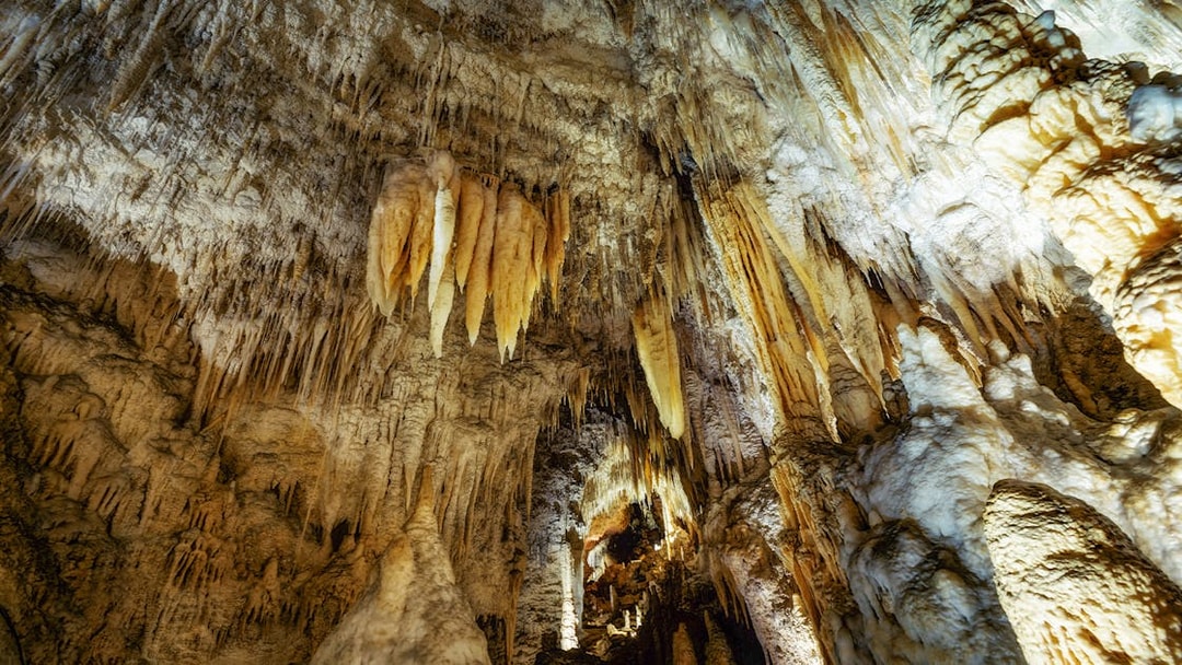 Stalactites in Waitomo Caves, New Zealand, part of the Auckland to Rotorua & Te Puia tour.