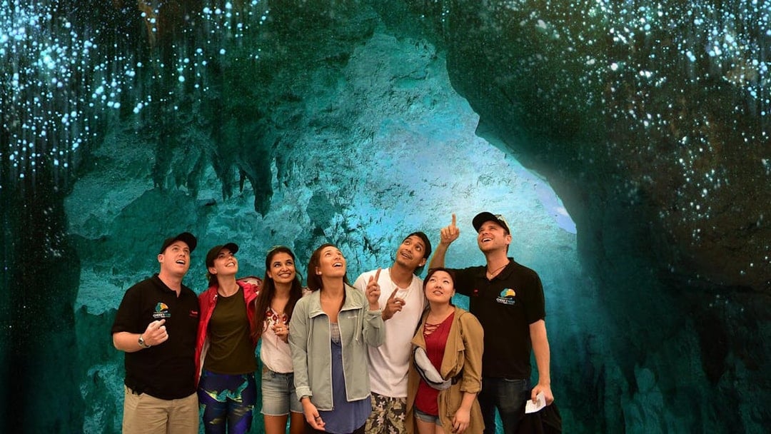 Group admiring glowworms in Waitomo Caves during Auckland tour.