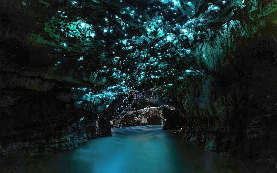 From Auckland: Waitomo Glowworm Caves Guided Tour Image 9