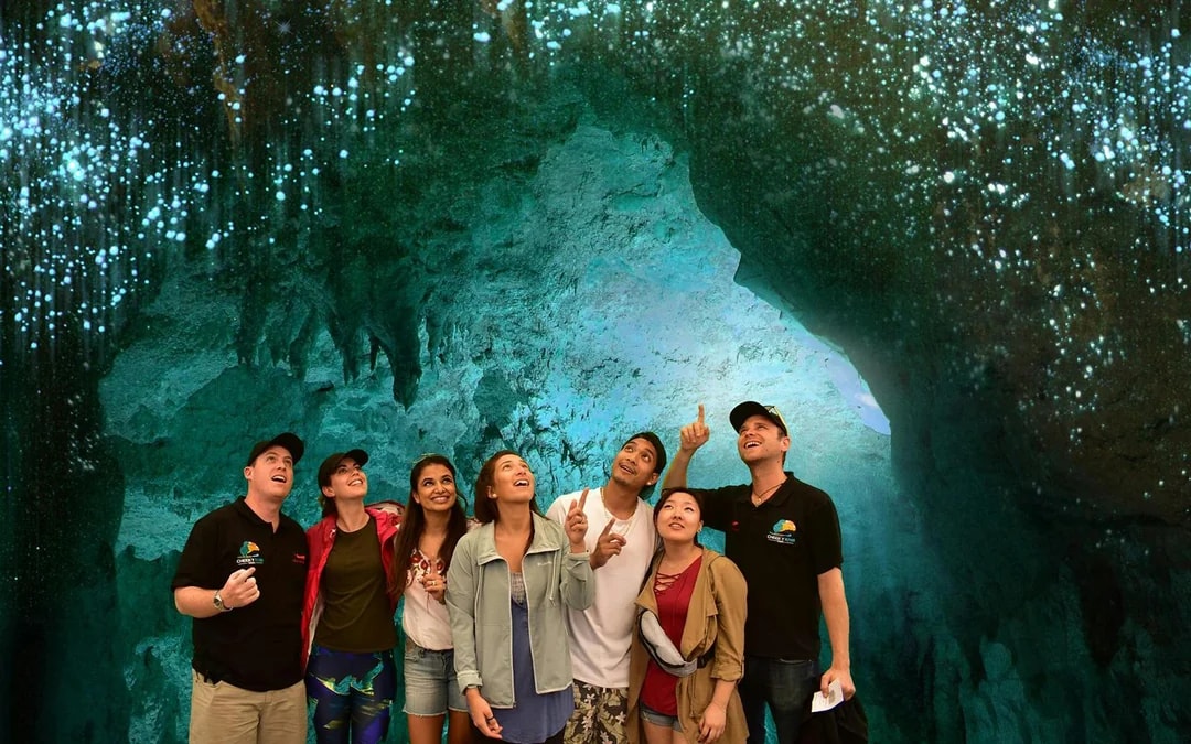 From Auckland: Waitomo Glowworm Caves Guided Tour Image 1