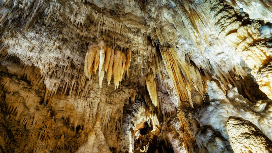 Stalactites in Waitomo Glowworm Caves, New Zealand, on a guided tour from Auckland.