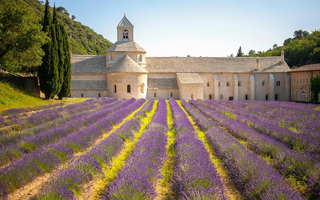 From Avignon: Lavender Fields Full-Day Tour Image 5