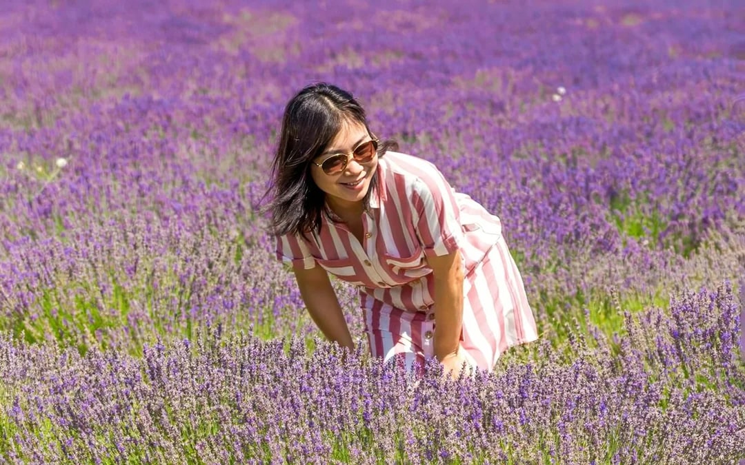 From Avignon: Lavender Fields Full-Day Tour Image 7