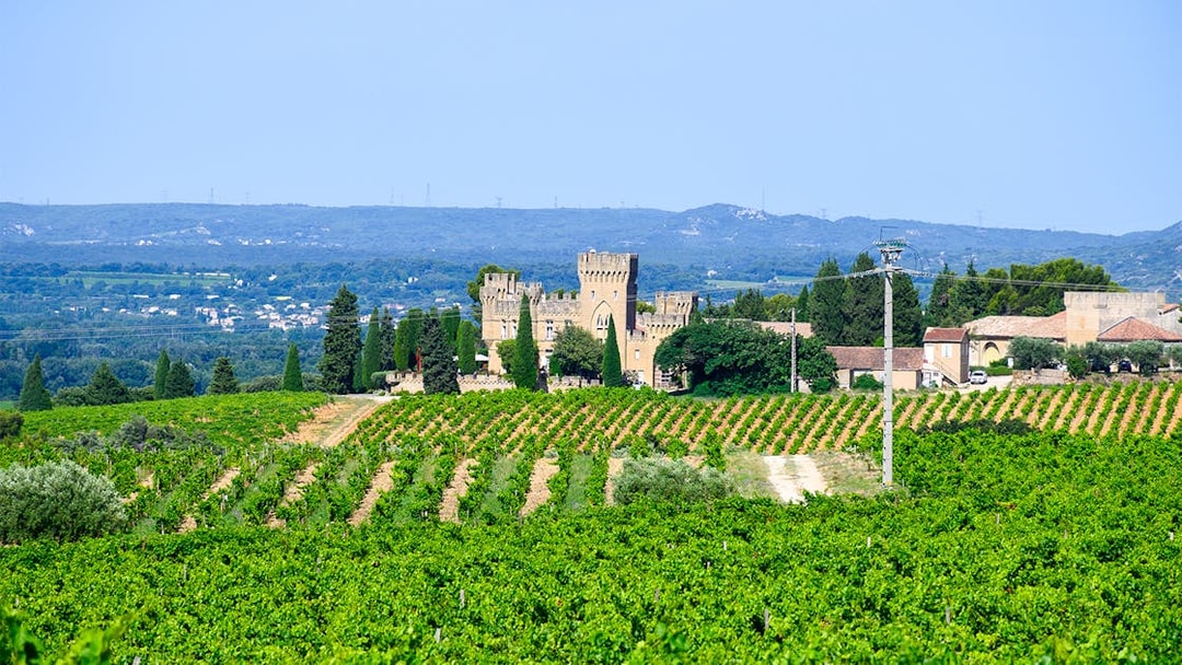 Vineyards and historic castle in Chateauneuf du Pape, France, on a sunny day.