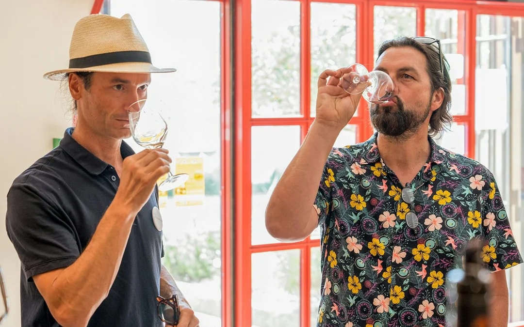 From Avignon: Wine Tour to Châteauneuf-du-Pape Image 6