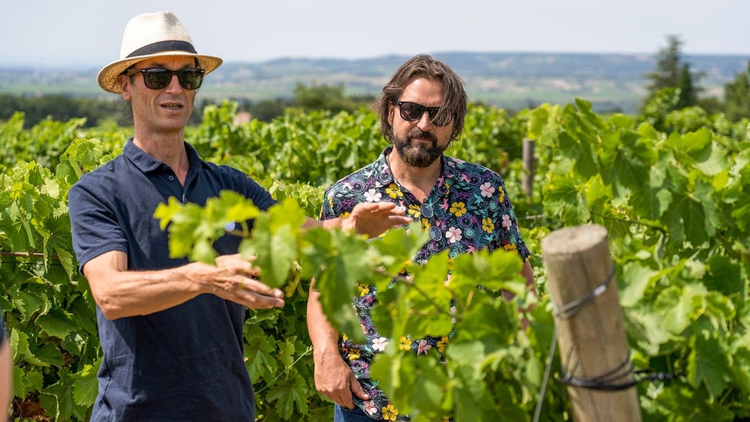 Men exploring vineyards in Chateauneuf du Pape, Avignon, France.