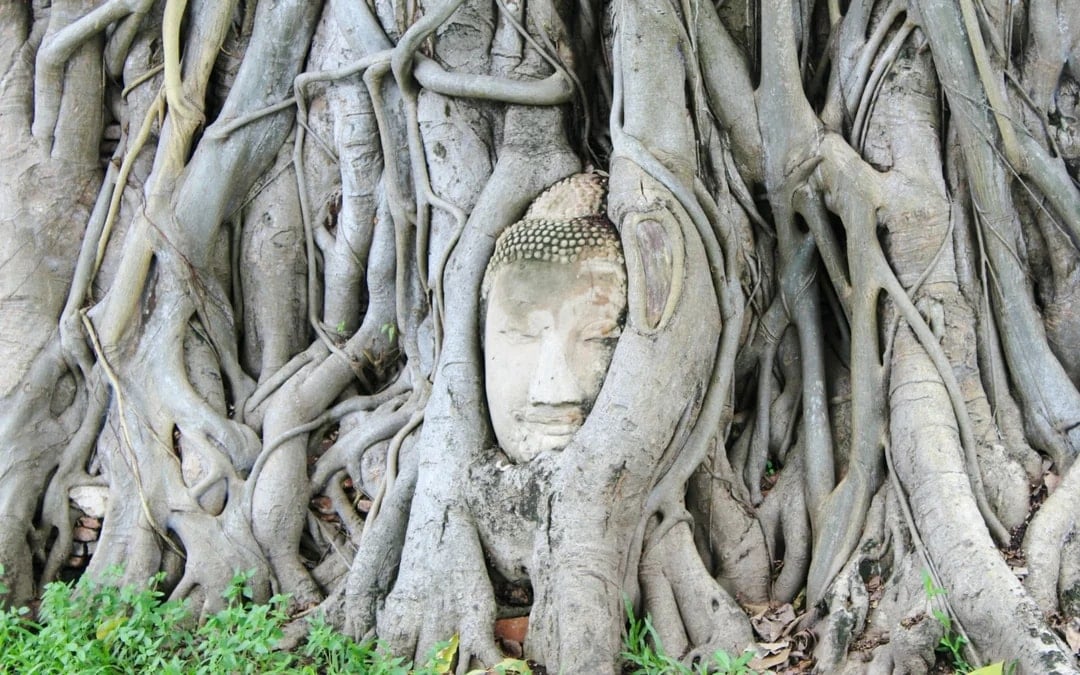 From Bangkok: Private UNESCO Ayutthaya Historical Park Tour with Frog-Headed Tuk-Tuk Ride and Local Market