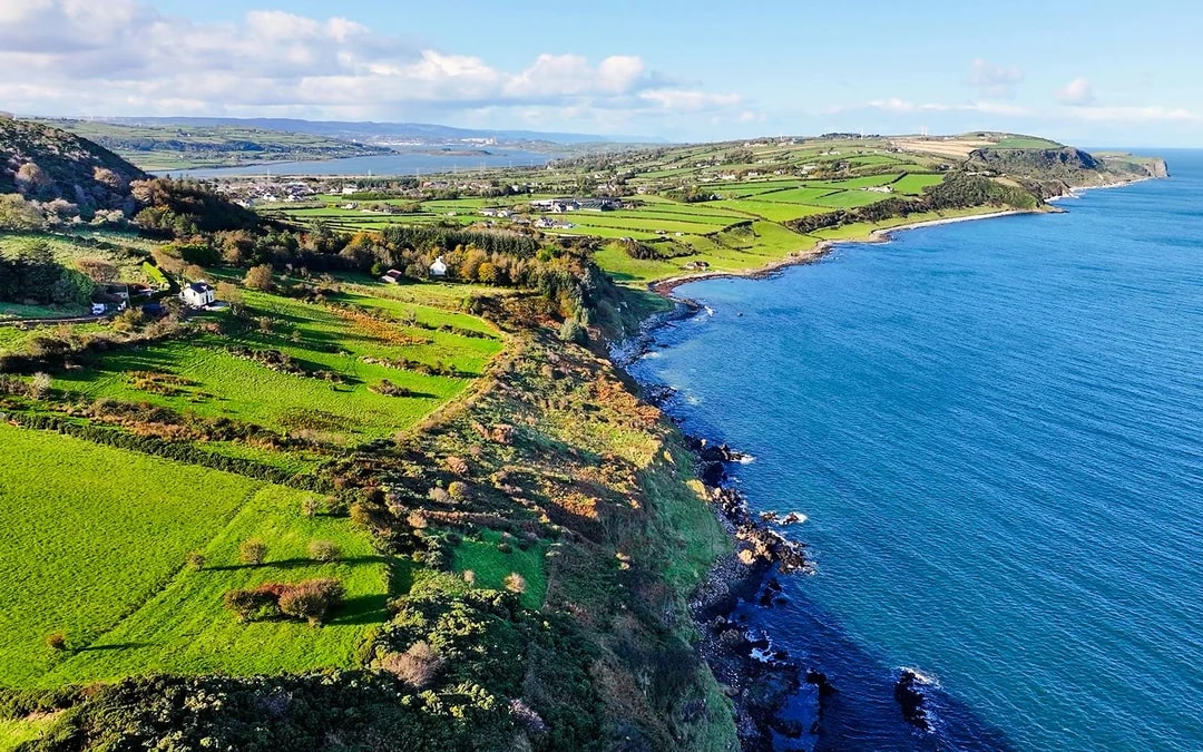 From Belfast: Giant's Causeway Full-Day Tour Image 9