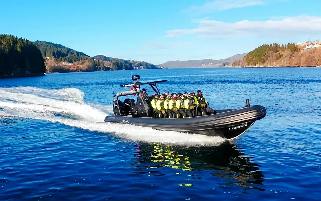 From Bergen: Alversund Fjord Premium RIB Safari Image 4