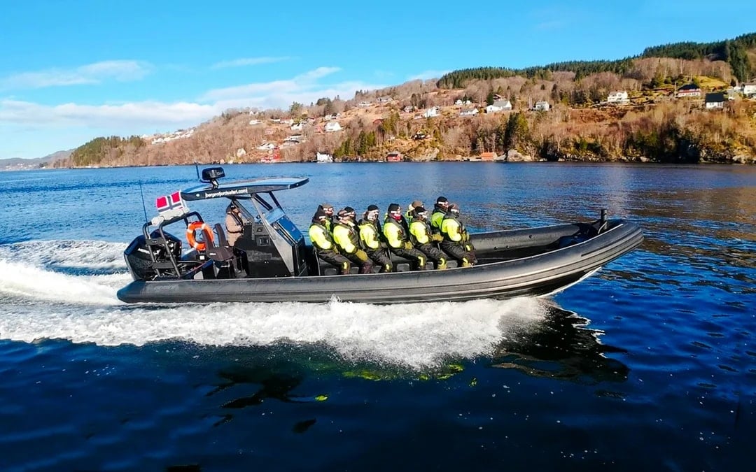From Bergen: Alversund Fjord Premium RIB Safari