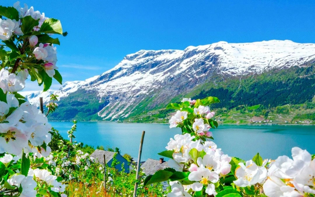 From Bergen: Hardangerfjord, Waterfalls, Culture & Apple Pie Image 8