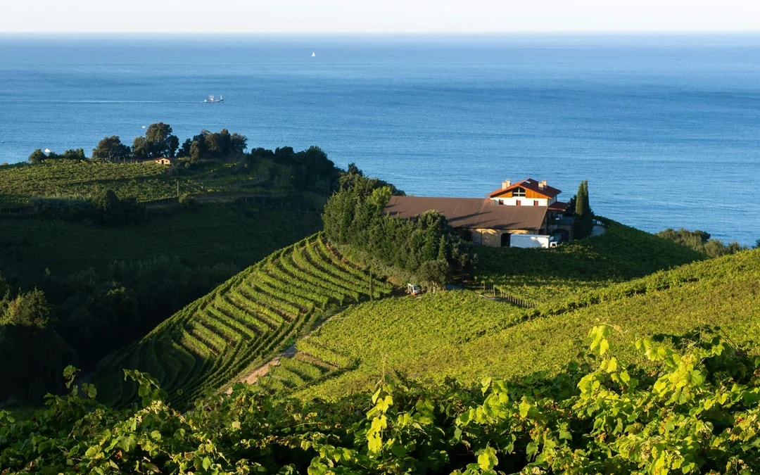 From Bilbao: Gaztelugatxe, Biscay Bridge & Txakoli Tasting Tour Image 6