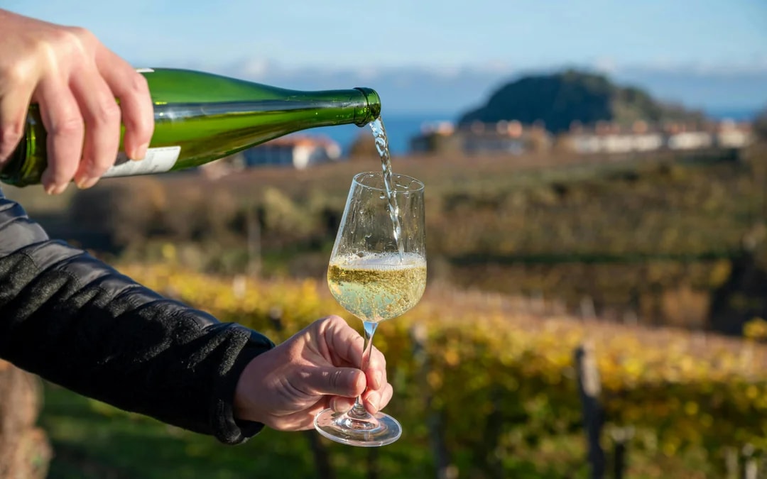 From Bilbao: Gaztelugatxe, Biscay Bridge & Txakoli Tasting Tour Image 7