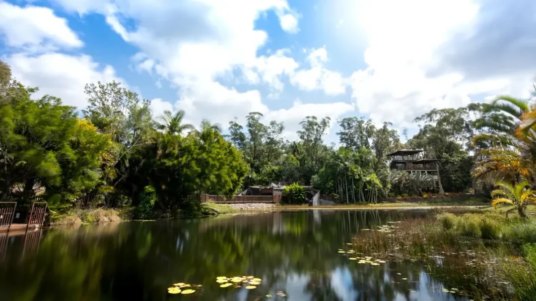 From Brisbane: Australia Zoo Tickets with Transfers