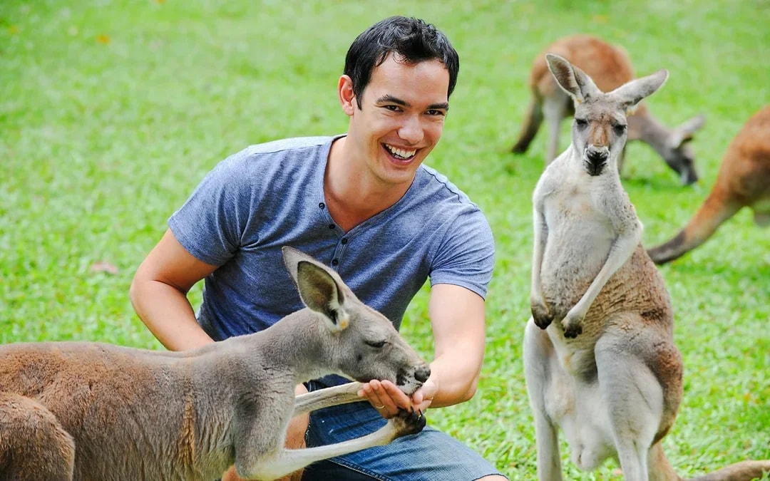 From Brisbane: Australia Zoo Tickets with Transfers Image 1