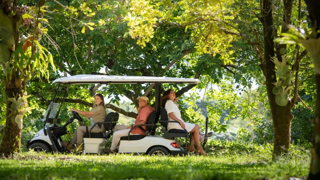 From Brisbane: Australia Zoo Tickets with Transfers