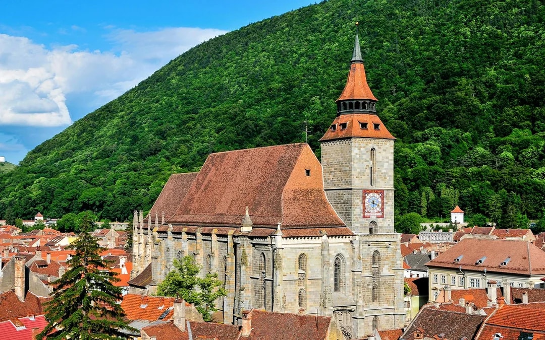From Bucharest: Bear Sanctuary & Brasov Small-Group Guided Tour Image 8