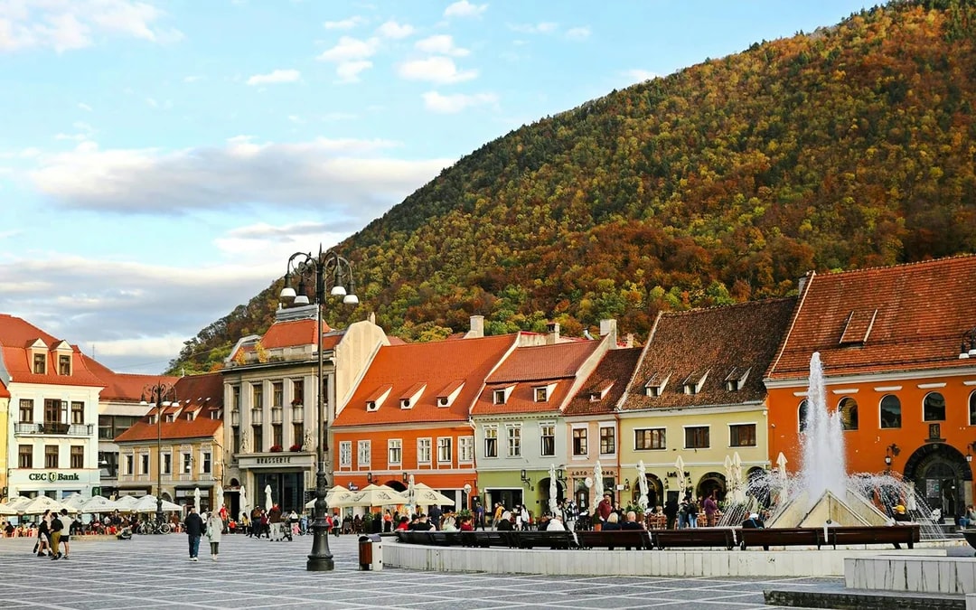 From Bucharest: Bear Sanctuary & Brasov Small-Group Guided Tour Image 9