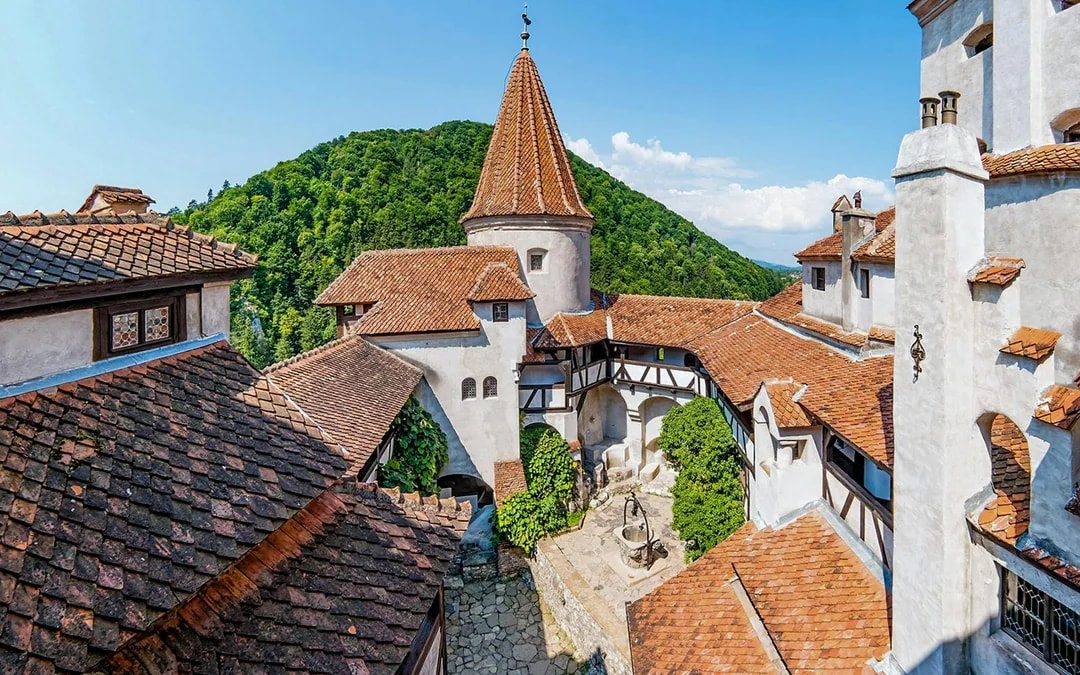 From Bucharest: Bran Castle, Peles Castle & Brasov Full-Day Guided Tour with Castles Audio Guide
 Image 6